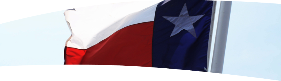 Banner image showing the Texas state flag